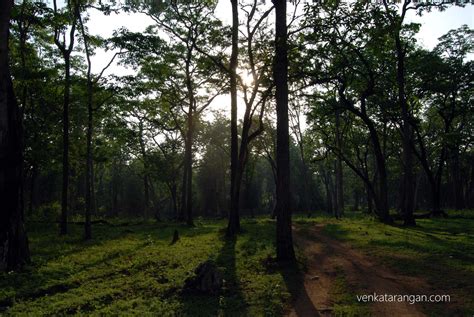 Nagarhole National Park, Kabini