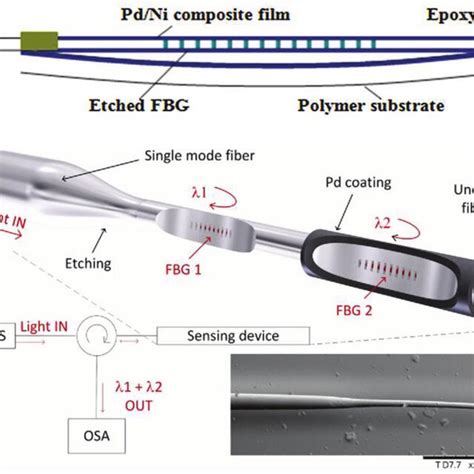 Illustrations Of The Sensor Structure Of A Fbg Hydrogen Sensor And B