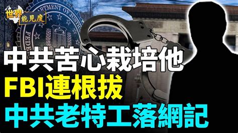 Fbi又幹了一件漂亮活兒！這可不是一般的大魚，中共多年苦心栽培的特工，被連根拔；他甘心給中共賣命，最後這下場 世界能見度 Youtube