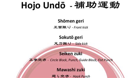 Hojo Undo | SANDAIRYU