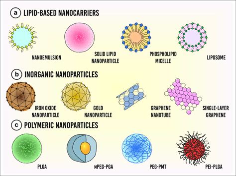 Types Of Nanocarriers Composed Of Different Nanobiomaterials For Cancer