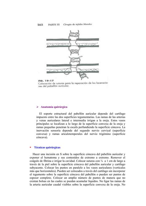 Otohematoma Pdf Descarga Gratuita