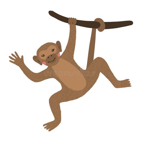 Macaco Bonito Que Pendura Na Rvore Isolada No Branco Ilustra O Do