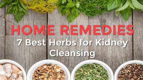 7 Best Herbs for Kidney Cleansing | Sports Health & WellBeing