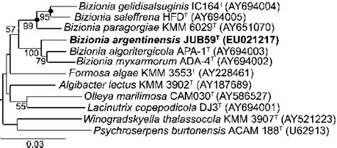 Neighbour Joining Phylogenetic Tree Based On 16S RRNA Gene Sequences