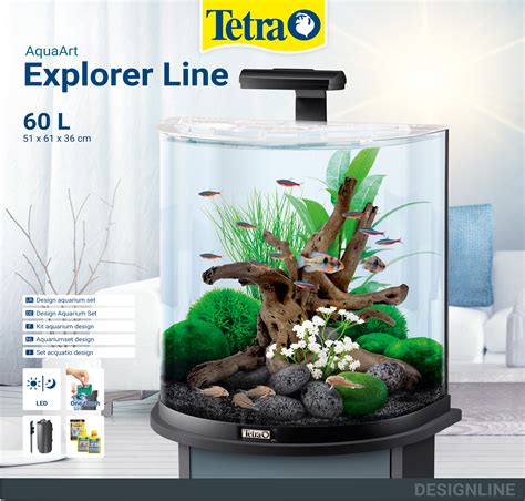 Modern Tropical Fish Tank 5 Best Fish Tank Ideas For A 29 Gallon