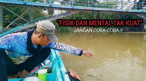 Tak Mau Pulang Kalau Seperti Ini Mancing Udang Galah Youtube