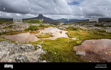 Overland Track Landscape With Barn Bluff Cradle Mountain Lake St Clair