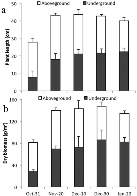 Growth Characteristics Of Plant Length A And Dry Biomass B Of The