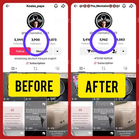 Grow Your Tik Tok Account Organically Through Ads Manager By Rameezmarketing Fiverr