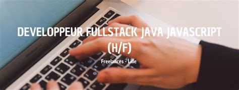 Développeur Fullstack Java Javascript H F Insitoo Lille Mission