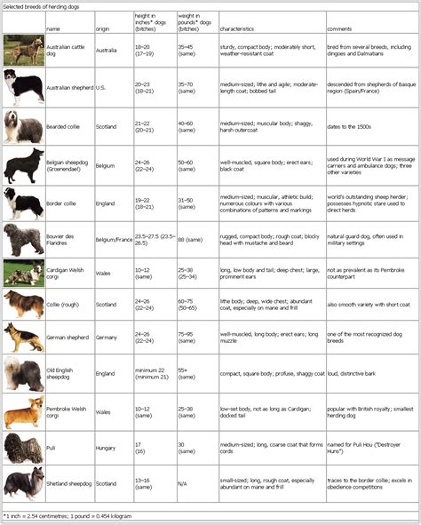 Selected breeds of herding dogs