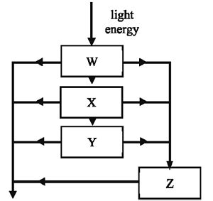 48 | Learnfast Review and Tutorial Hub 