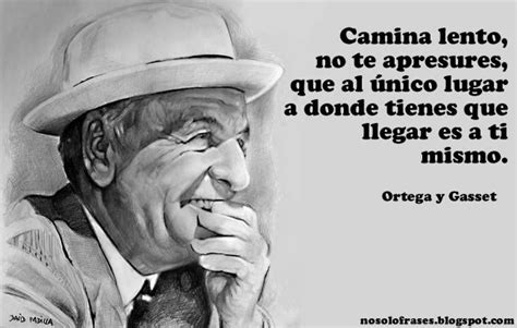 Yes It Is True Love Ortega Y Gasset Frases Para Disculparse Inspiracional