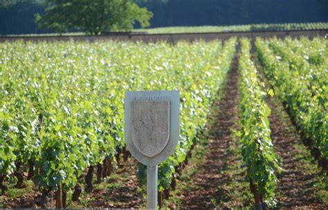 Le Domaine Des Hospices De Beaune Domaine Viticole Des Hospices De Beaune