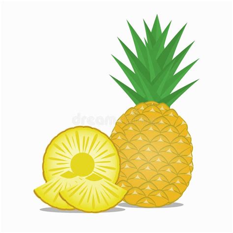 Fresh Pineapple And Pineapple Slices Stock Vector Illustration Of