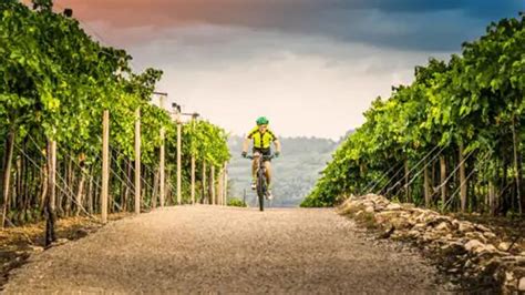 Tour In Bici Tra Le Cantine Della Franciacorta Lake Hotel La Pieve