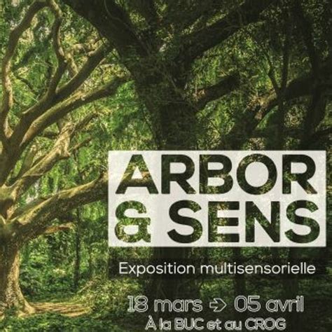 Stream Arbor Sens Le Pouvoir Magique Des Arbres Les Enfants Chez Le