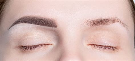 How to Grow Your Eyebrows Back Better Than Ever - Cottonable