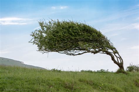 Frischer Wind Tut Gut Wunschmann GmbH