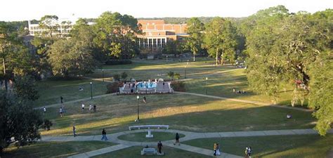 profile florida state university    college rankings