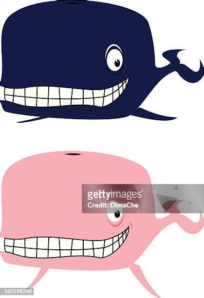 324 Funny Whale Stock Photos, High-Res Pictures, and Images - Getty Images