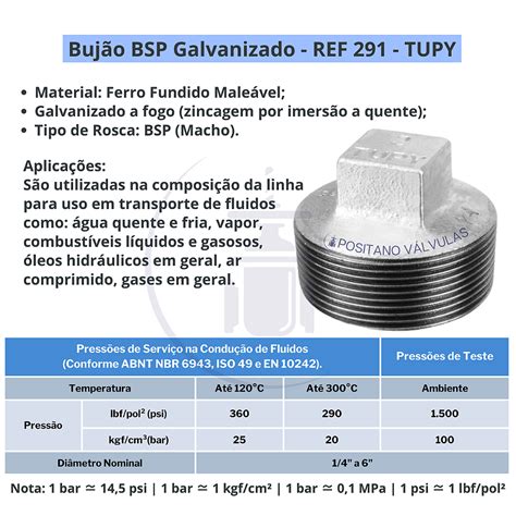 Bujão Quadrando Galvanizado TUPY 291 BSP 2 1 2 Aços Positano