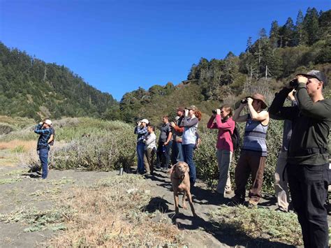 Mendocino and Humboldt Redwood Forestry Teach Humboldt State University Wildlife Students ...