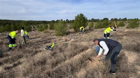 Medio millar de árboles en Zarzadilla de Totana para combatir la