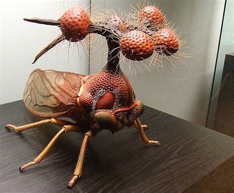 Weird Insects Cool Insects Flying Insects Bugs And Insects