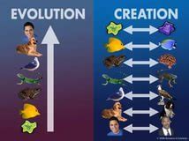 Creation Vs Evolution Chart