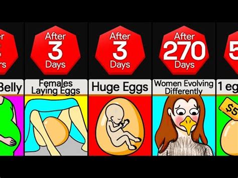 Timeline What If Humans Laid Eggs YouTube