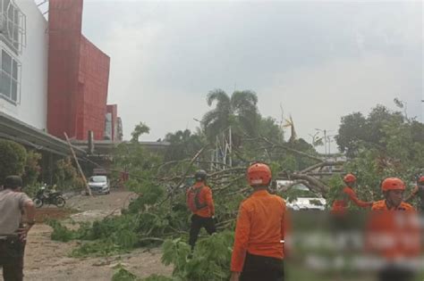 Hujan Disertai Angin Kencang Pohon Tumbang Timpa Mobil Di Jalan Raya