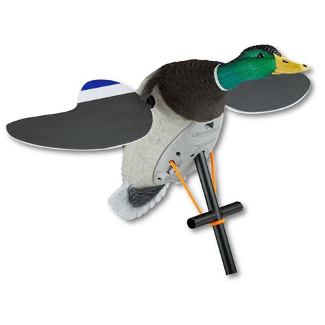 Lucky Pair Duck Mallard From Lucky Duck Lucky Hunter