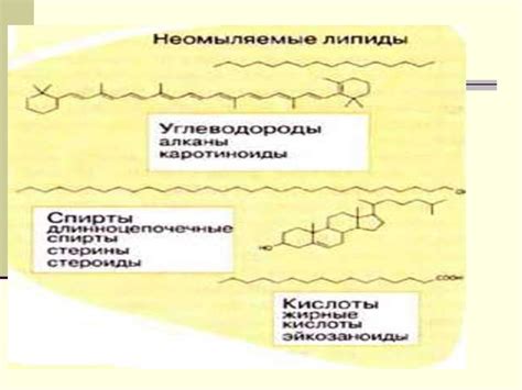 Биохимия липидов. Классификация, биологические функции. Переваривание и ...