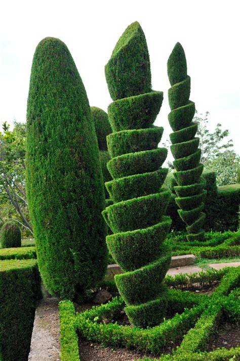 Topiary Landscaping Ideas | ThriftyFun