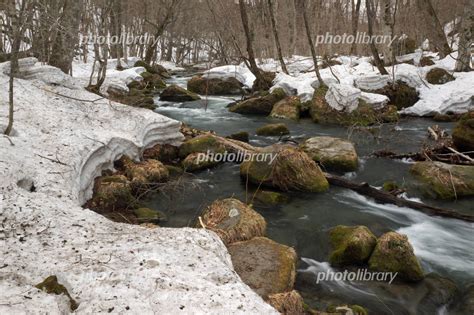 雪解けの奥入瀬渓流 写真素材 1926236 フォトライブラリー Photolibrary