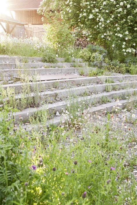 Mit Schwung NatUrban Naturnahe Gartengestaltung