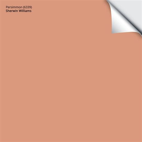 Sherwin Williams Persimmon 6339 Terra Cotta Paint Color Orange