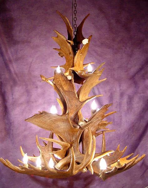 Moose Chandeliers Cdn Antler Custom Antler Chandeliers