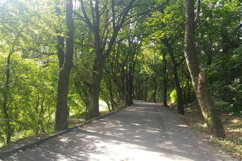 Trwa remont mysłowickiej Promenady Do połowy roku miejski park