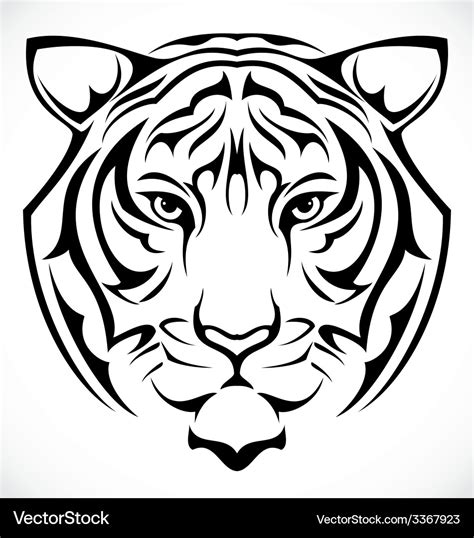 Tiger head Royalty Free Vector Image - VectorStock