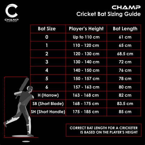 Bat Size Guide | Champ Sports SA