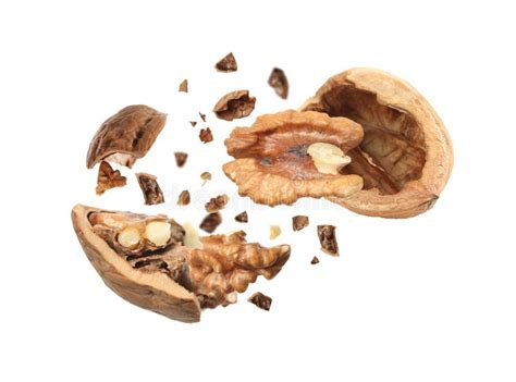 Broken Walnut And Pieces Of Shell Flying On White Background Stock