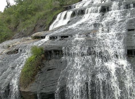 Parque Estadual Do Cerrado Uma Boa Op O De Lazer Nos Campos Gerais