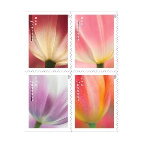 100 Forever Stamps 2023 USPS First-Class Tulip Blossoms 2023 Stamp 5 ...