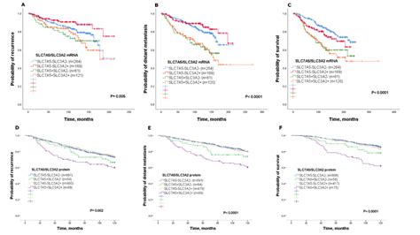 Kaplan Meier Of Slc7a5slc3a2 Mrna Co Expression And Patient Outcome In Download Scientific