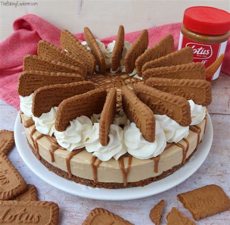 Biscoff Cheesecake No Bake The Baking Explorer