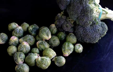 Broccoli And Brussel Sprout Casserole With Cheese Creole Contessa