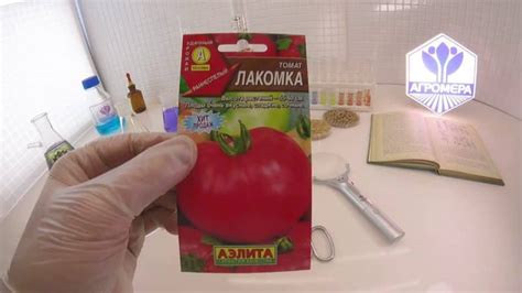 Томат "Лакомка": характеристика и подробное описание сорта помидор с ...